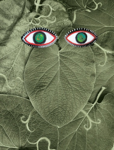 Hoja Santa. Edition bilingue français-espagnol - Art Maciejka ; Fernandez Emilie ; Martinez Mariana