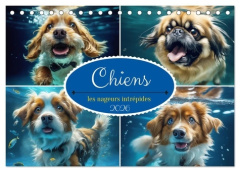 CHIENS : LES NAGEURS INTREPIDES (CALENDRIER DE BUREAU 2026 DIN A5 VERTICAL), CALVENDO CALENDRIER MEN - AUPEIX JEROME