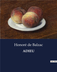 ADIEU - UN RELATO DE SUPERVIVENCIA Y LOCURA EN LA RETIRADA DE RUSIA - DE BALZAC HONORE