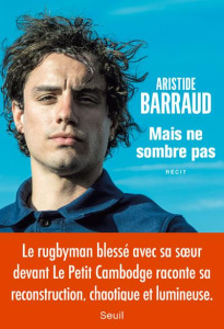 Mais ne sombre pas - Barraud Aristide