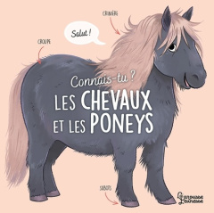 Connais-tu les chevaux et les poneys ? - Besson Agnès ; Vanhoof Axelle