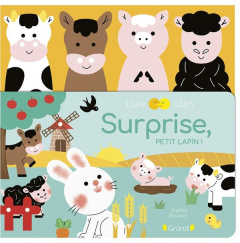 Surprise, petit lapin ! - Bouxom Sophie