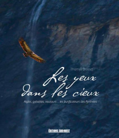 Les yeux dans les cieux. Gypaètes, vautours fauves, aigles... Les nettoyeurs des Pyrénées - Brosset Thomas