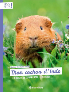 Mon cochon d'Inde. Le chosir, le comprendre, le soigner - Bulliot Christophe ; Denys Victoria ; Thenevard Bl