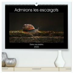 Admirons les escargots (Calendrier mural 2026 DIN A2 vertical) calendrier de bureau. Dans nos jardi - Christina Ladan
