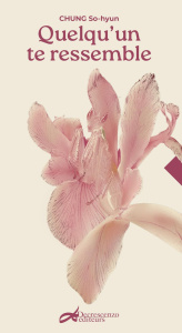 Quelqu'un te ressemble - Chung So-Hyun ; Thirouin-Jung Irène