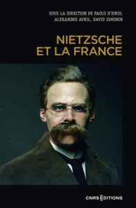 Nietzsche et la France - D'Iorio Paolo ; Avril Alexandre ; Simonin David