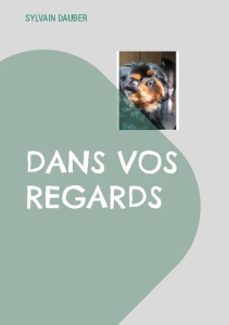 DANS VOS REGARDS - DAUBER SYLVAIN
