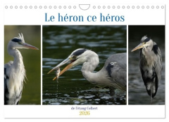 Le héron ce héros de l'étang Colbert (Calendrier mural 2026 DIN A4 vertical), CALVENDO calendrier me - Denis Michel