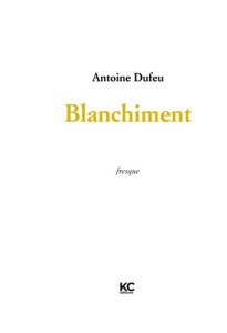 Blanchiment - Dufeu Antoine