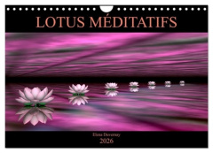 LOTUS MÉDITATIFS (Calendrier mural 2026 DIN A4 vertical), CALVENDO calendrier mensuel. La beauté des - Duvernay Elena