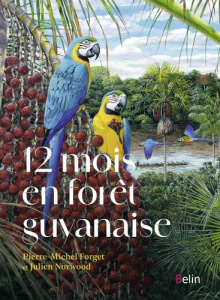12 mois en forêt guyanaise - Forget Pierre-Michel ; Norwood Julien ; Tiouka Ale