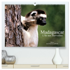 Madagascar L'île aux merveilles (Calendrier mural 2026 DIN A2 vertical) calendrier de bureau. Scène - François Lepage © jean