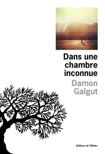 Dans une chambre inconnue - Galgut Damon ; Papot Hélène