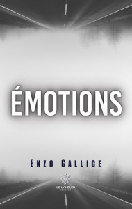 Emotions - Gallice Enzo