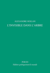 L'invisible dans l'arbre - Hollan Alexandre