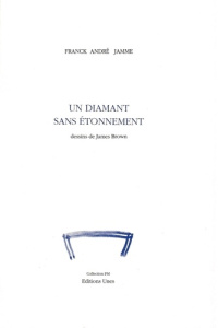 Un diamant sans étonnement - Jamme Franck André