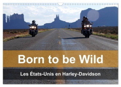 Born to be wild - Les États-Unis en Harley-Davidson (Calendrier mural 2026 DIN A3 vertical), CALVEND - Kaercher Mike