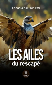 Les ailes du rescapé - Kali-Tchikati Edouard