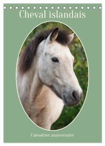 Cheval islandais - Calendrier anniversaire (Calendrier de bureau 2026 DIN A5 horizontal), CALVENDO c - Kohrt Stephanie