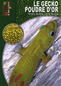 Le gecko poudre d'or. Phelsuma laticauda - Krause Peter ; Vedovotto Nathalie