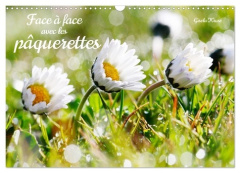 Face à face avec les pâquerettes (Calendrier mural 2026 DIN A3 vertical), CALVENDO calendrier mensue - Kruse Gisela