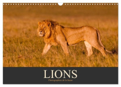 Lions - Photographies de la faune (Calendrier mural 2026 DIN A3 vertical), CALVENDO calendrier mensu - Krutz Christina