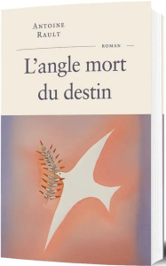 L'angle mort du destin - Rault Antoine