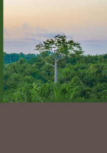 La joie va nous tuer - Amy De la bretèque benoît