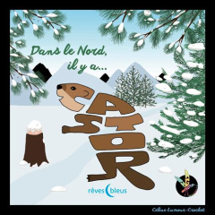 Dans le Nord, il y a Castor - Lamour-Crochet Céline