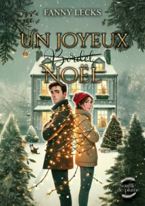 Un joyeux (bordel) Noël - Lecks Fanny