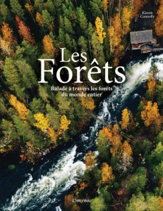 Les forêts. Balade à travers les forêts du monde entier - Connolly Kieron ; Nègre Delphine