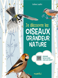 Je découvre les oiseaux grandeur nature - Lesaffre Guilhem ; Deroussen Fernand