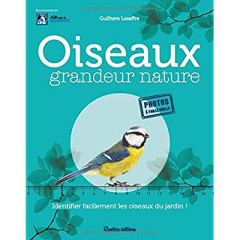 Oiseaux grandeur nature - Lesaffre Guilhem