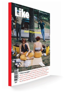 Like Hors-série N° 2 : Une conversation avec Joel Meyerowitz - REVUE LIKE