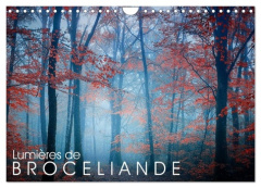 Lumières de Brocéliande (Calendrier mural 2026 DIN A4 vertical), CALVENDO calendrier mensuel. Images - Manguin Philippe