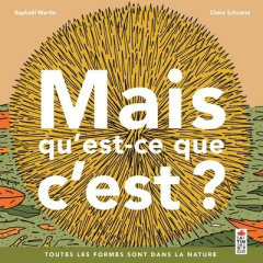 Mais qu'est que c'est ? Toutes les formes sont dans la nature - Martin Raphaël ; Schvartz Claire