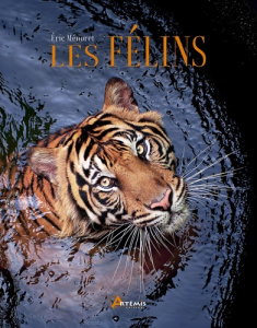 Les félins - Ménoret Eric