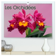 Les Orchidées (Calendrier mural 2026 DIN A2 vertical) calendrier de bureau. Les orchidées exotiques - Monarchc Monarchc