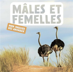 Mâles et femelles - NATURAGENCY