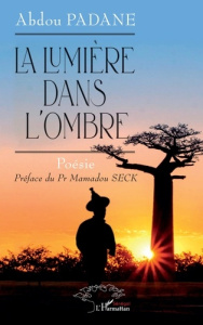 La lumière dans l’ombre - Padane Abdou ; Seck Mamadou