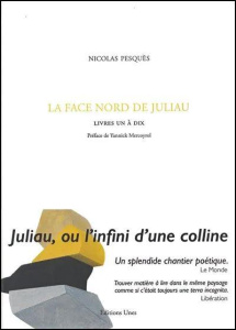 La face nord de Juliau. Livres 1 à 10 - Pesquès Nicolas ; Mercoyrol Yannick