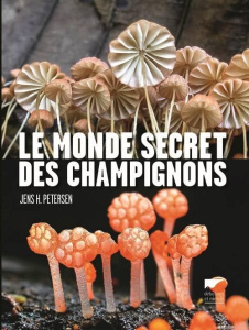 Le monde secret des champignons - Petersen Jens H ; Richard Denis