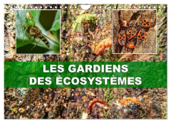 Les gardiens des écosystèmes (Calendrier mural 2026 DIN A4 vertical), CALVENDO calendrier mensuel. R - Planche Thierry