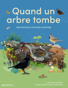 Quand un arbre tombe. Une nouvelle vie pour la nature - Gottardi Valentina ; Michno Maciej ; Miserocchi Da