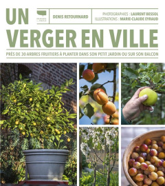 Un verger en ville. Près de 30 arbres fruitiers à planter dans son petit jardin ou sur son balcon - Retournard Denis ; Bessol Laurent ; Eyraud Marie-C