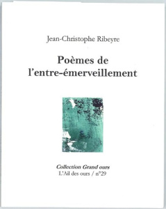 Poèmes de l'entre-émerveillement - Ribeyre Jean-Christophe ; Slacik Anne