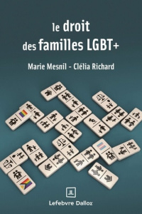 Le droit des familles LGBT  - Mesnil Marie ; Richard Célia