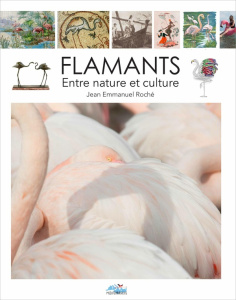 Flamant. Entre nature et culture - Roché Jean-Emmanuel