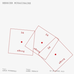 Herbier miraginaire - Rosenfeld Adèle ; Perrais Agnès ; Villaumie Ella